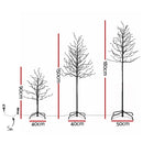 Jingle Jollys 3 Pack LED Christmas Tree Lighted Birch Tree Indoor Outdoor Xmas Decor Warm White