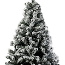 Christabelle Snow - Tipped Artificial Christmas Tree 1.8m - 850 Tips - NuSea
