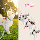 Dog Double - Lined Straps Harness and Lead Set Leash Adjustable L MARBLE PINK - NuSea