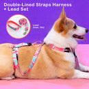 Dog Double - Lined Straps Harness and Lead Set Leash Adjustable L MARBLE PINK - NuSea