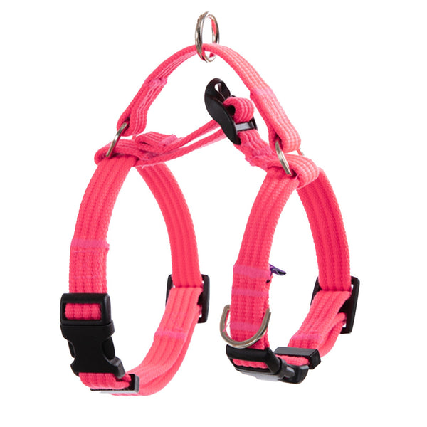 Dog Double - Lined Straps Harness and Lead Set Leash Adjustable L NEON CAROL - PINK - NuSea