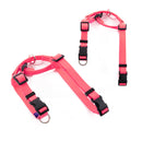 Dog Double - Lined Straps Harness and Lead Set Leash Adjustable L NEON CAROL - PINK - NuSea