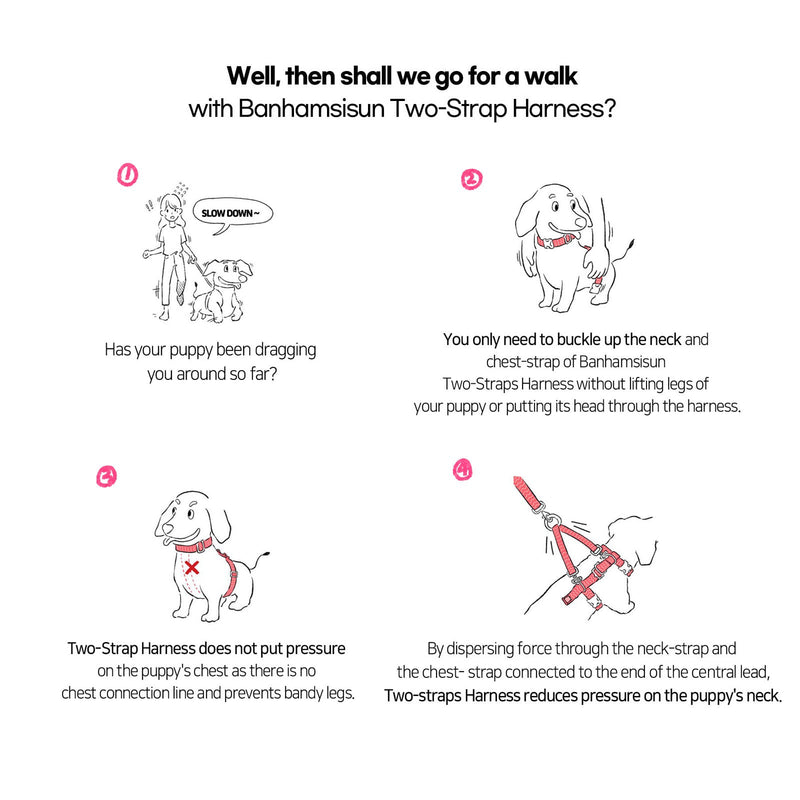 Dog Double - Lined Straps Harness and Lead Set Leash Adjustable L NEON CAROL - PINK - NuSea