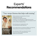 Dog Double - Lined Straps Harness and Lead Set Leash Adjustable L SWEET GREEN - NuSea