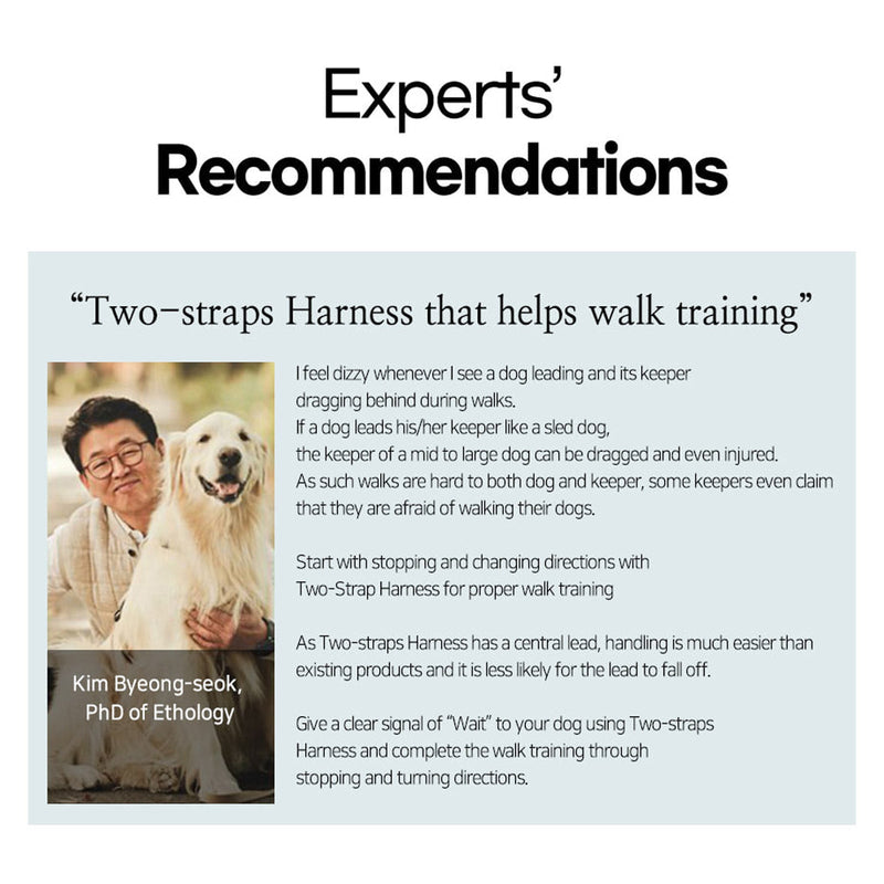 Dog Double - Lined Straps Harness and Lead Set Leash Adjustable M NEON CAROL - PINK - NuSea