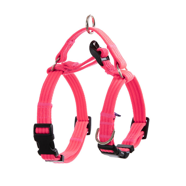 Dog Double - Lined Straps Harness and Lead Set Leash Adjustable M NEON CAROL - PINK - NuSea