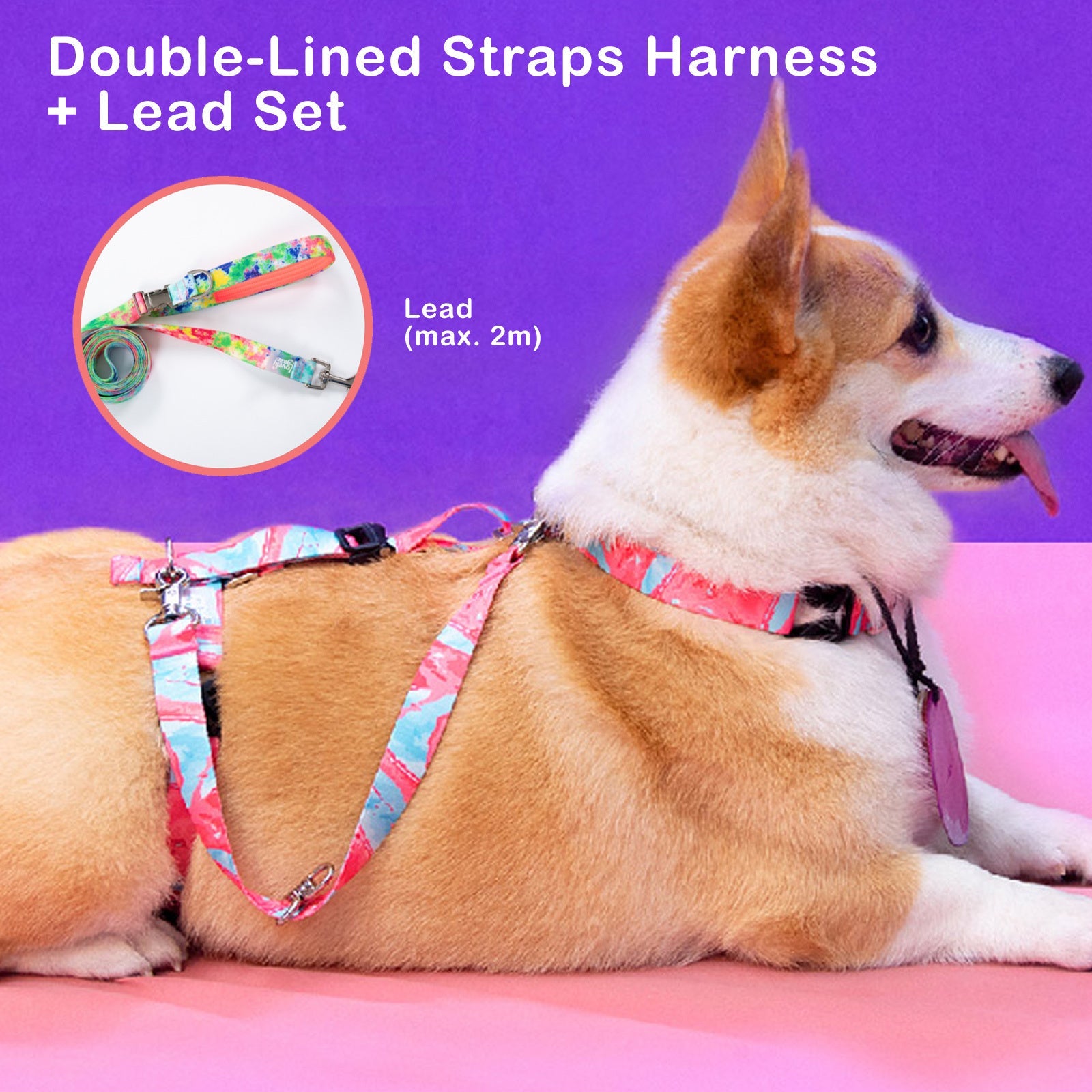 Dog Double - Lined Straps Harness and Lead Set Leash Adjustable M SWEET GREEN - NuSea