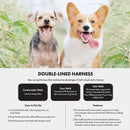 Dog Double - Lined Straps Harness and Lead Set Leash Adjustable S SWEET GREEN - NuSea