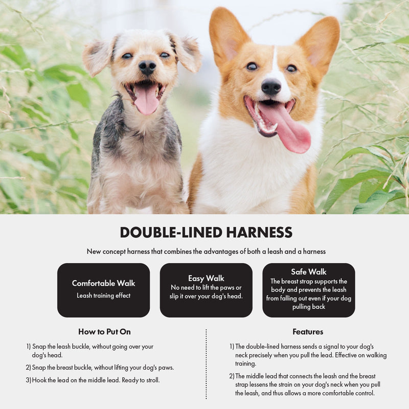 Dog Double - Lined Straps Harness and Lead Set Leash Adjustable S SWEET GREEN - NuSea