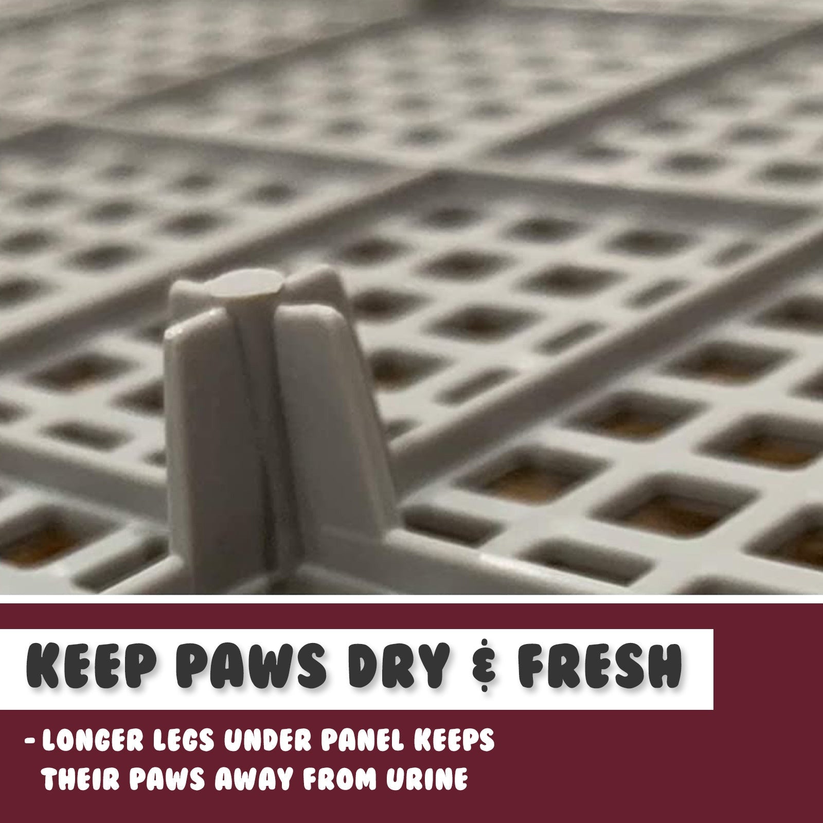 Dog Pet Potty Tray Training Toilet Raised Walls T1 WINE - NuSea