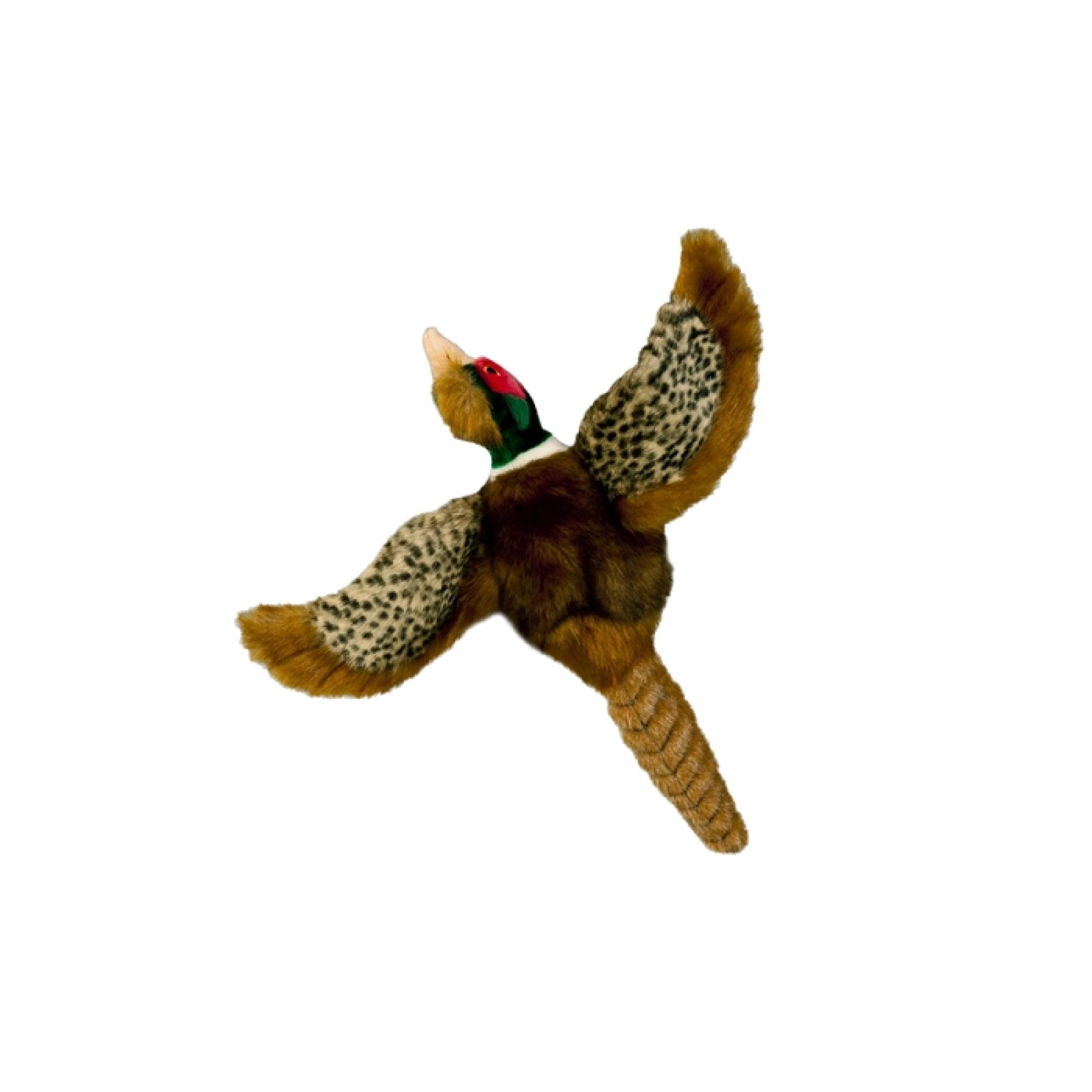 Dog Plush Toy - Pheasant Squeaky Interactive Small Life Like Bird - Puppy Play - NuSea