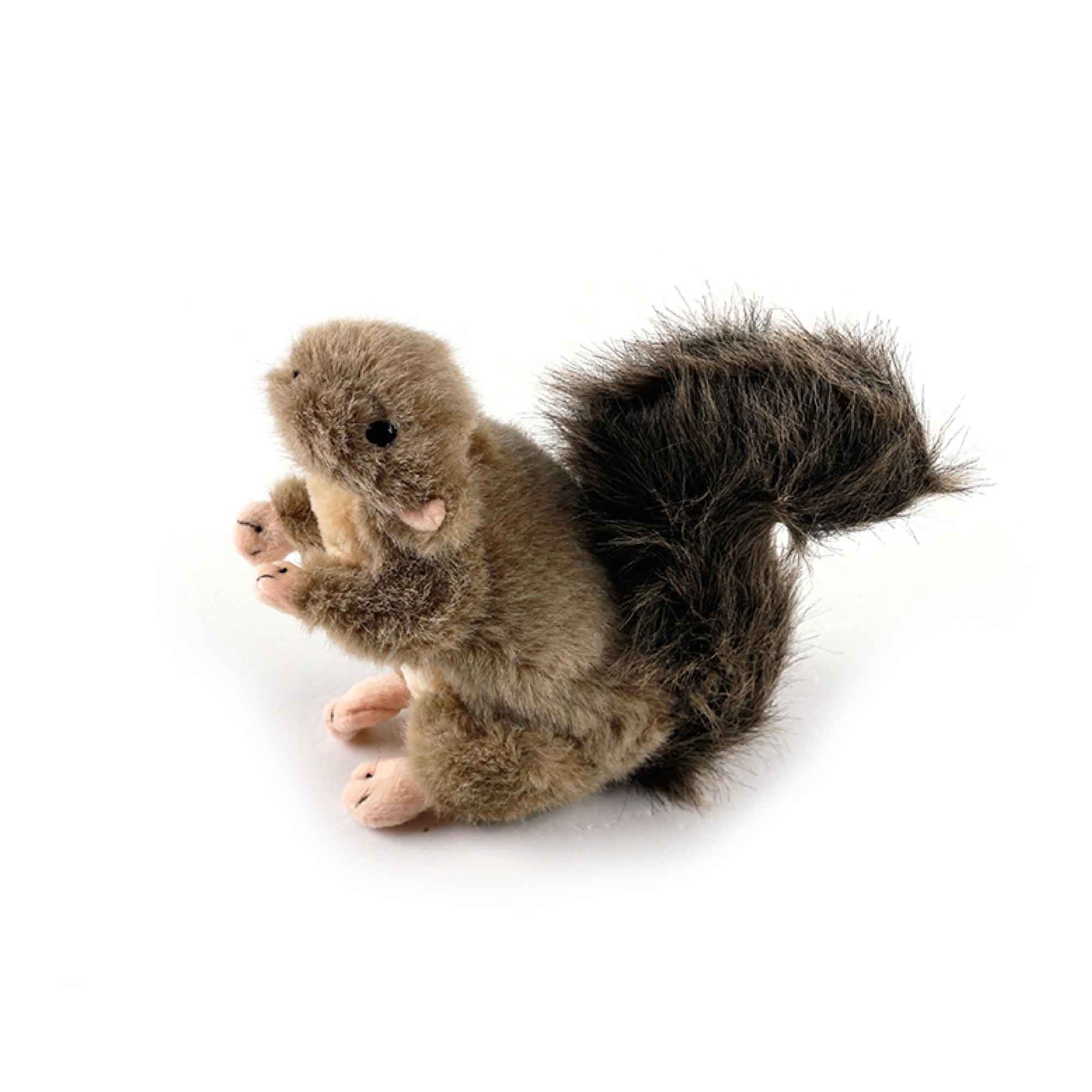 Dog Plush Toy - Squirrel Squeaky Interactive Small Life Like Pet Puppy Play - NuSea