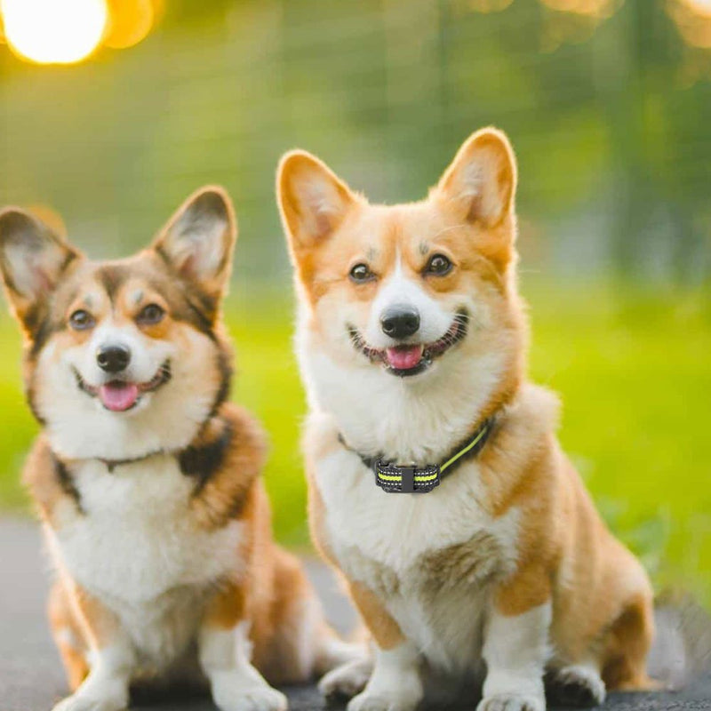 Dog Training Collar Compact Anti Barking Remote Control Stop Bark Waterproof - NuSea