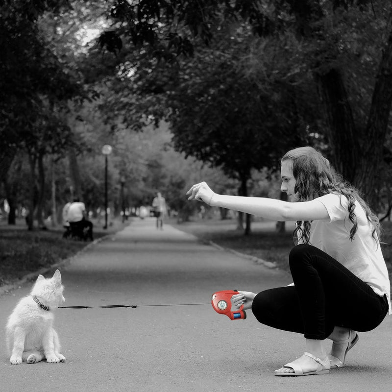 Floofi 3 in 1 Waste Beg LED Leash Blue - NuSea