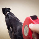 Floofi 3 in 1 Waste Beg LED Leash Yellow - NuSea