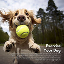 FLOOFI Automatic Ball Launcher (Green) - NuSea