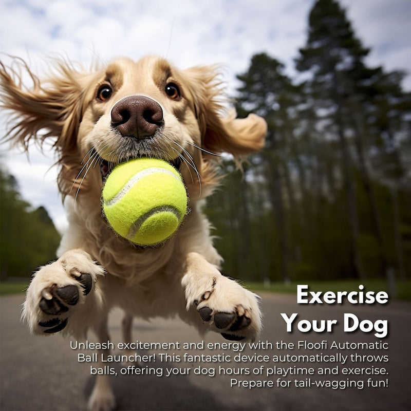 FLOOFI Automatic Ball Launcher (Green) - NuSea