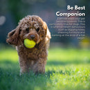 FLOOFI Automatic Ball Launcher (Green) - NuSea