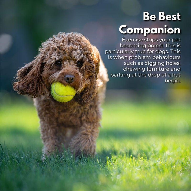 FLOOFI Automatic Ball Launcher (Green) - NuSea