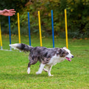 Floofi Dog Agility Training Set - NuSea