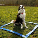 Floofi Dog Agility Training Set - NuSea