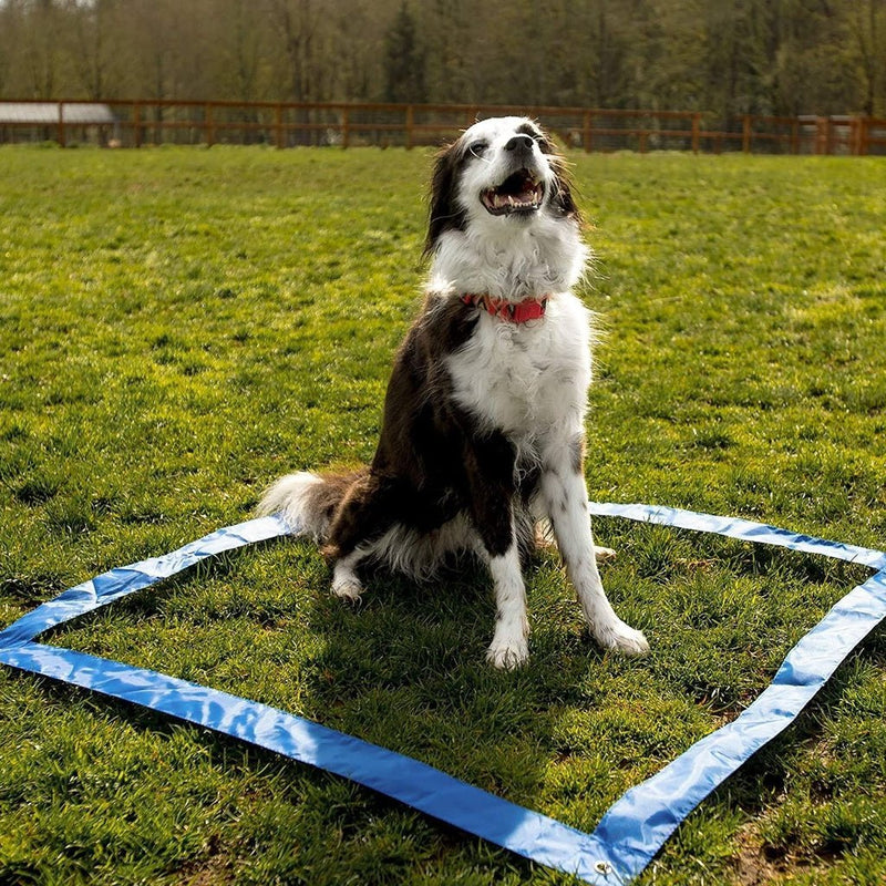 Floofi Dog Agility Training Set - NuSea