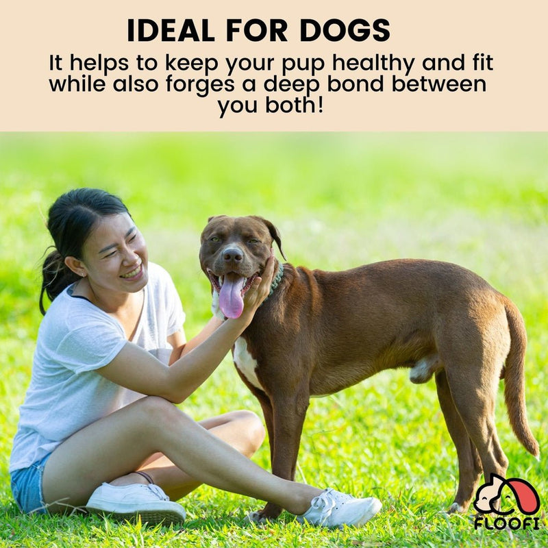 Floofi Dog Agility Training Set - NuSea