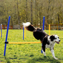 Floofi Dog Agility Training Set - NuSea