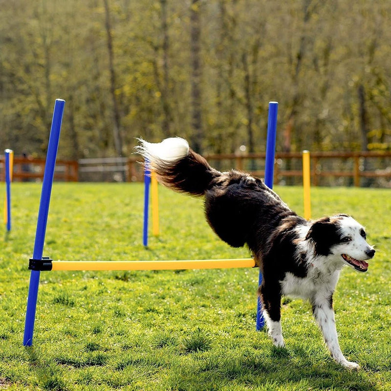 Floofi Dog Agility Training Set - NuSea