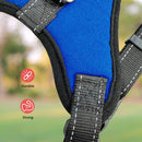 FLOOFI Dog Harness XL Size (Blue) - NuSea