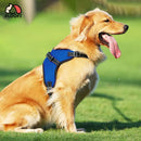 FLOOFI Dog Harness XL Size (Blue) - NuSea