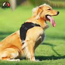 FLOOFI Dog Harness XXL Size (Black) - NuSea