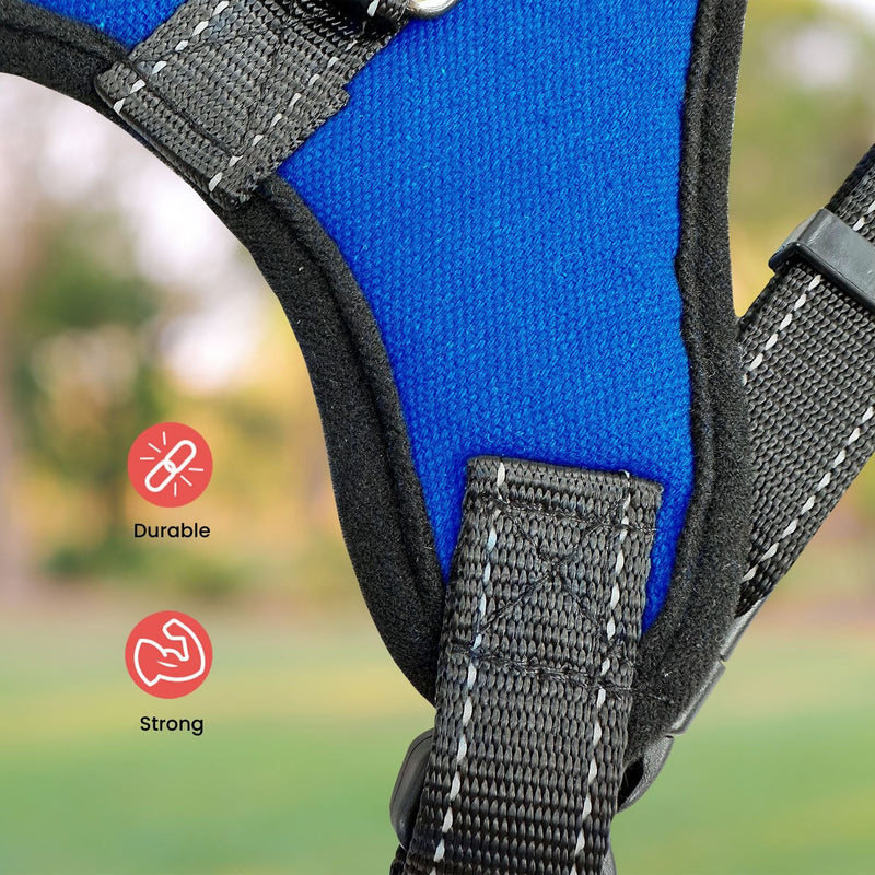 FLOOFI Dog Harness XXL Size (Blue) - NuSea