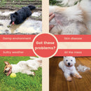 Floofi Elevated Camping Pet Bed (M Army) - NuSea