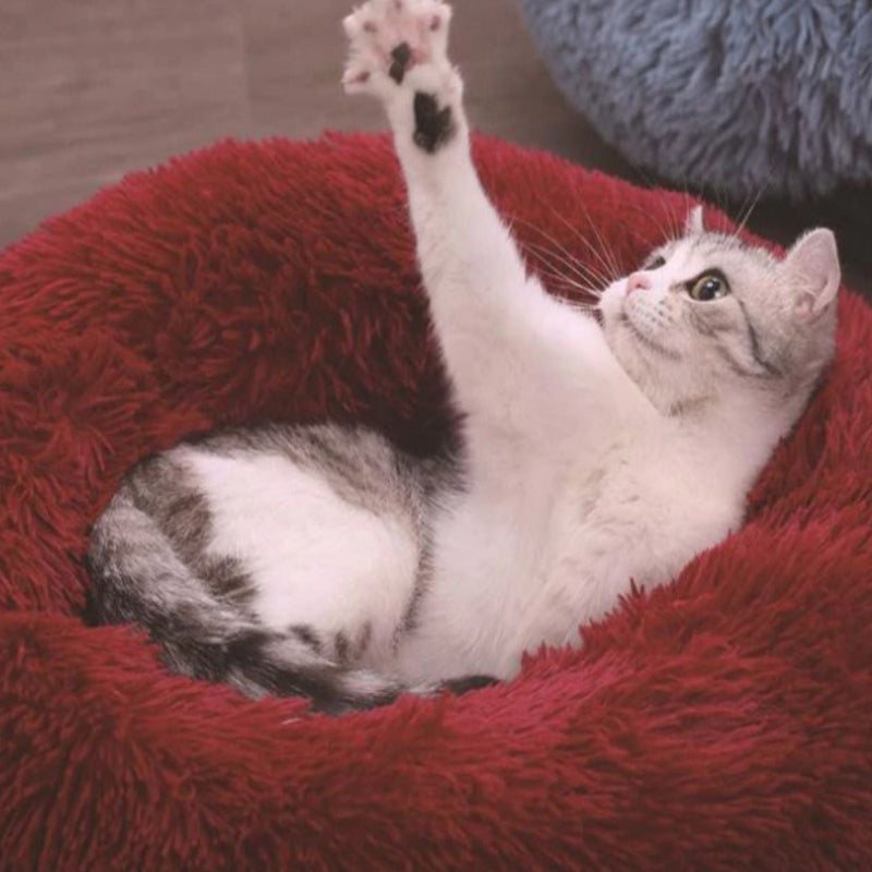 Floofi Pet Bed 80cm (Brown) - NuSea