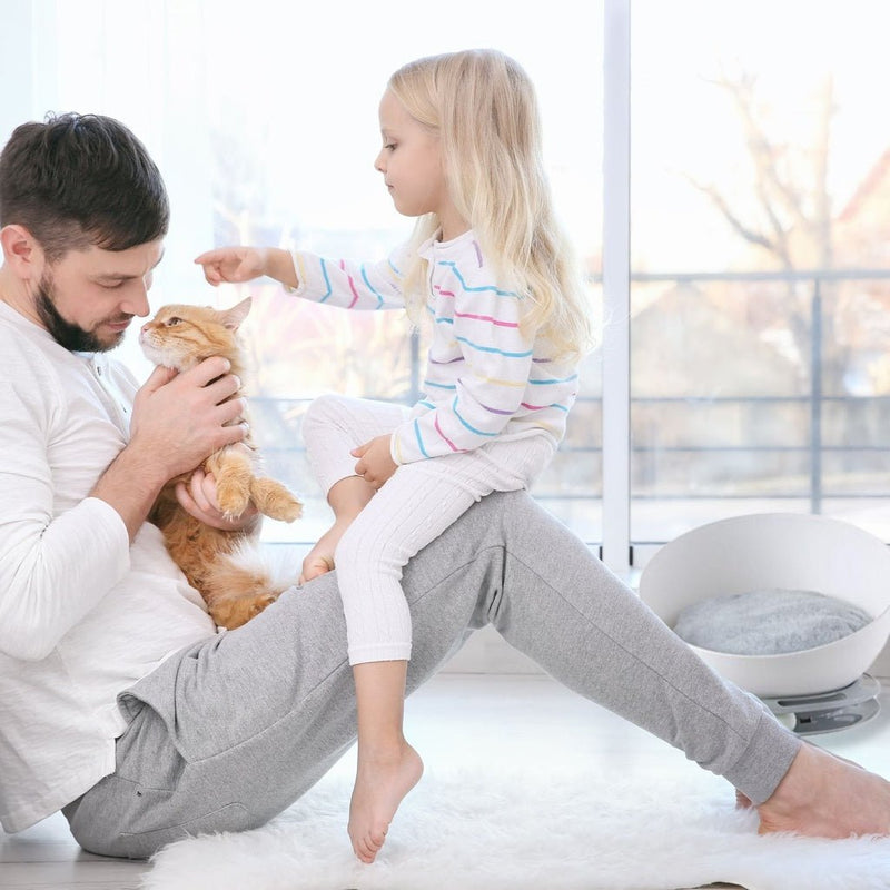 Floofi Pet Bed Cat 2 in 1 With Turntable Toy (Grey) - NuSea