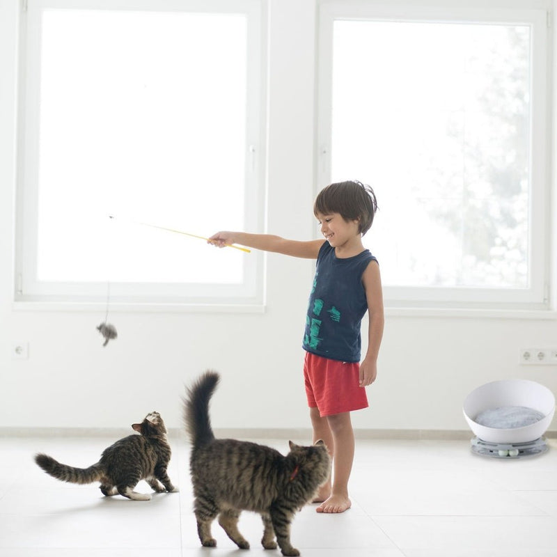 Floofi Pet Bed Cat 2 in 1 With Turntable Toy (Grey) - NuSea