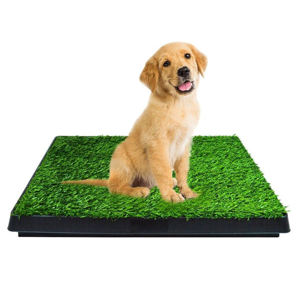 Floofi Pet Grass Training Potty 2 Piece Set - NuSea