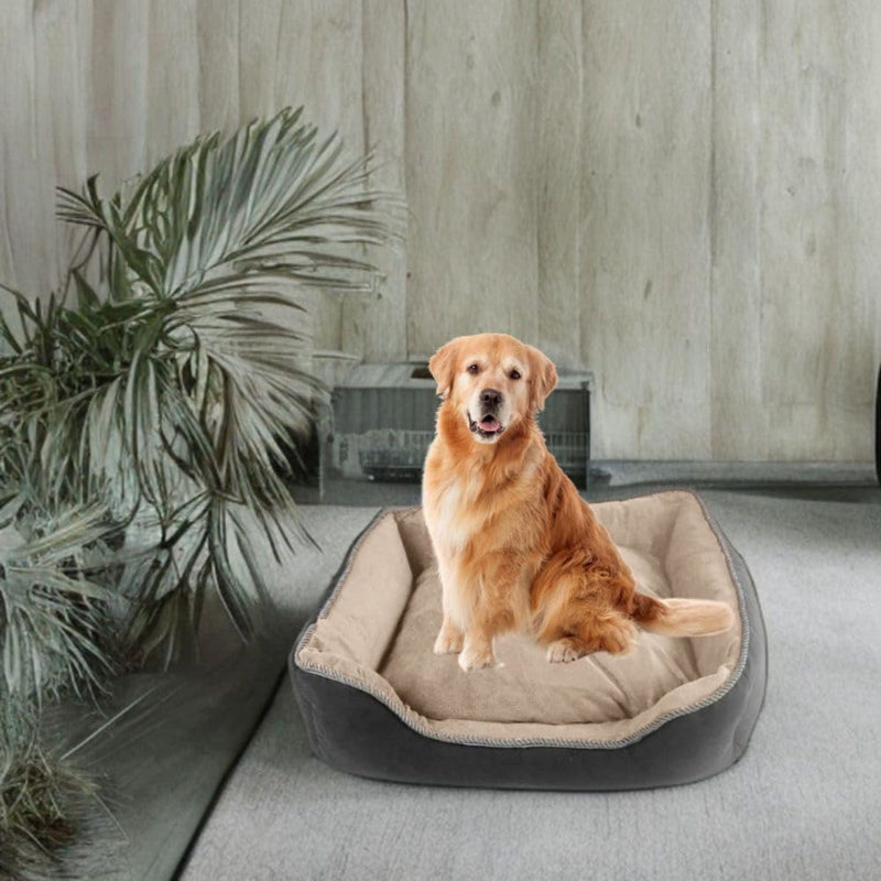 Floofi Pet Sofa Cushion XXXL (Grey) - NuSea