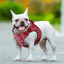 Floral Doggy Harness Red 3XS - NuSea