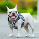 Floral Doggy Harness Saxony Blue M - NuSea
