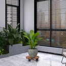 GREENHAVEN 2 Pack Plant Caddy with Lockable Wheels - Wood Color - NuSea