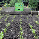 GREENHAVEN Seeding Square – Seed Spacer Tool for Optimal Plant Spacing - NuSea