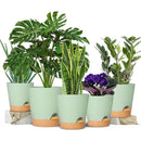 GREENHAVEN Self Watering Planters with Drainage Hole - Set of 5 - NuSea