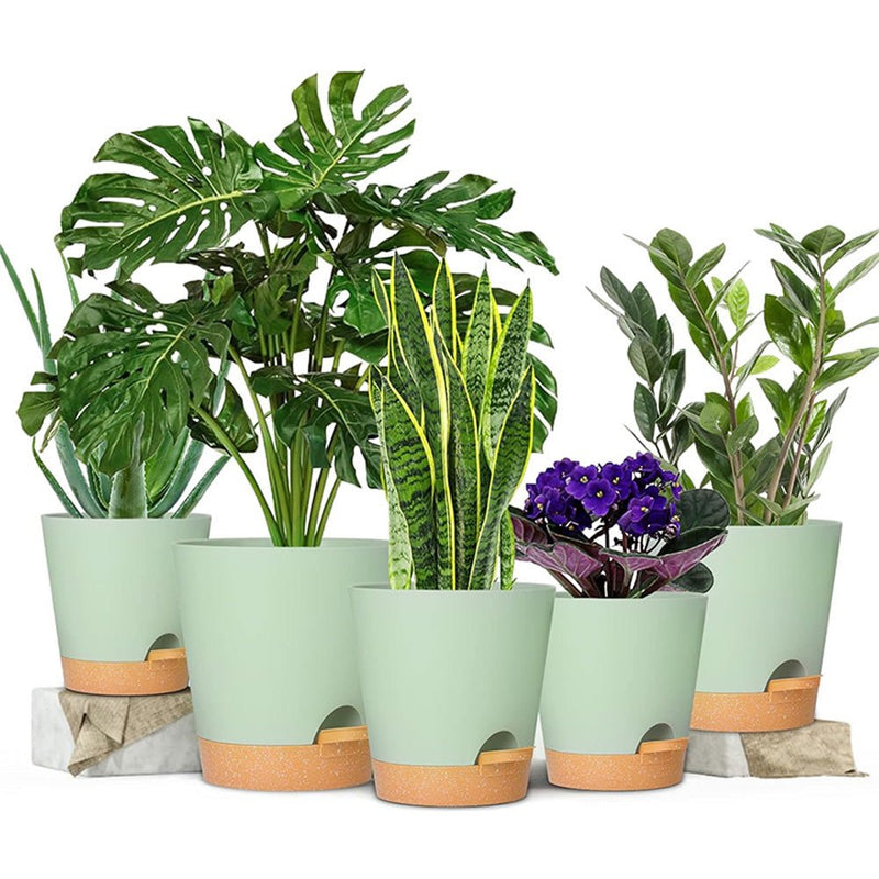 GREENHAVEN Self Watering Planters with Drainage Hole - Set of 5 - NuSea