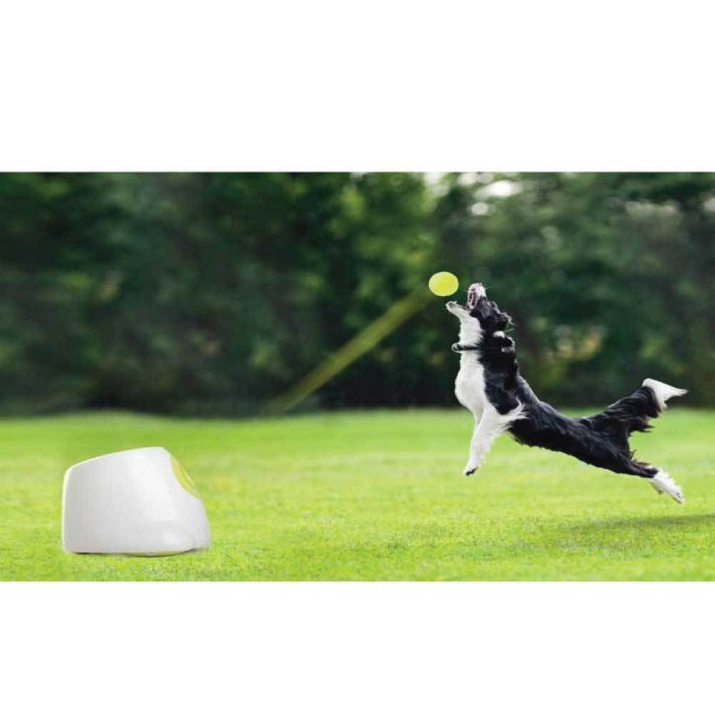 Hyper Fetch Maxi Dog Ball Thrower - Large Interactive Pet Toy Launcher - NuSea