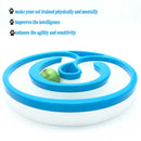Interactive Cat Track Circle with LED Sound Light Rolling Ball - Chase Play Toy - NuSea