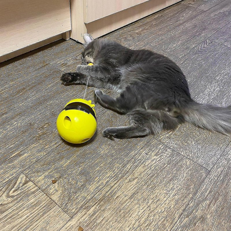 Interactive Cat Tumbler Treat and Food Dispenser Slow Feeder with Ball - NuSea