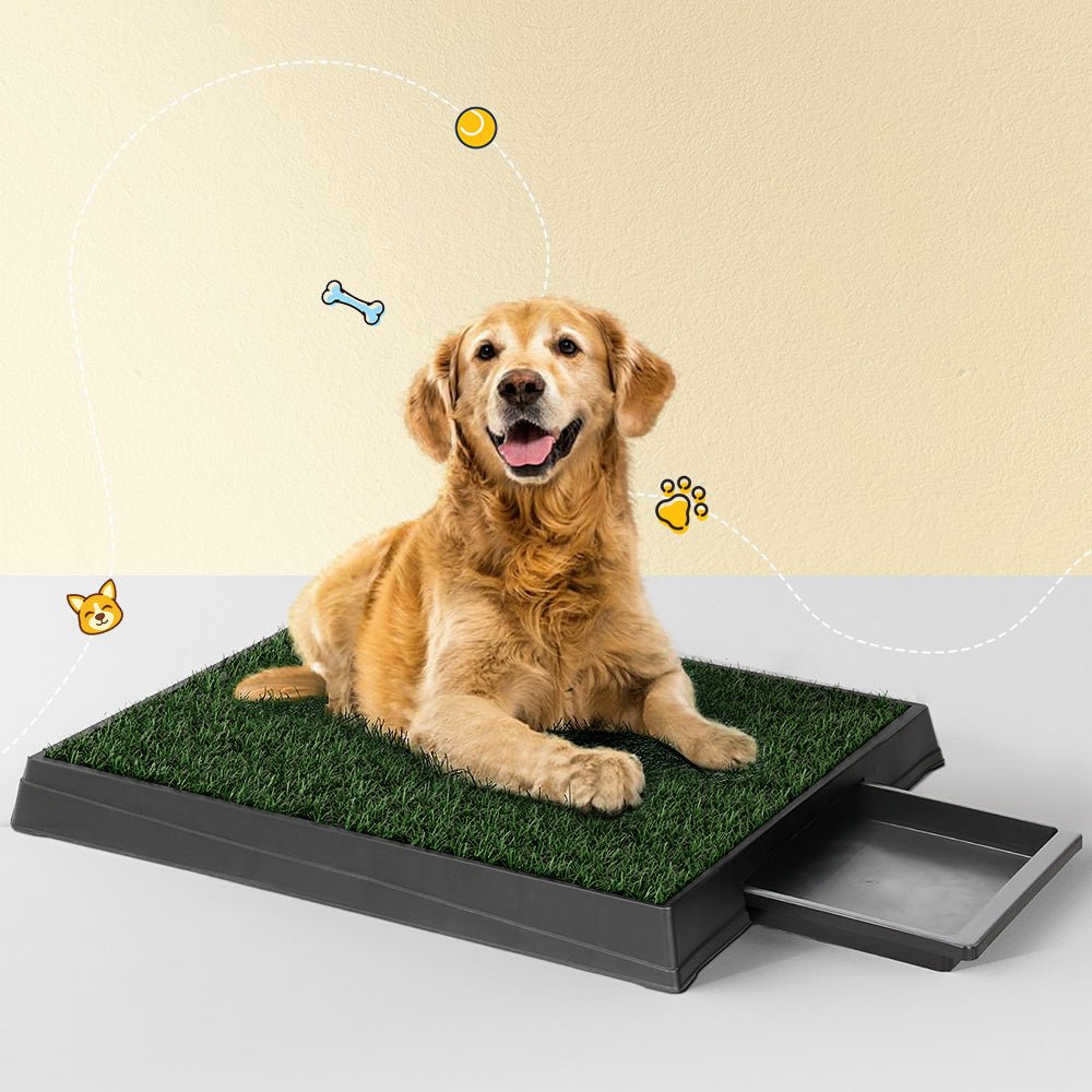 i.Pet Pet Training Pad Dog Potty Toilet Large Portable With Tray Grass 2 Mats - NuSea