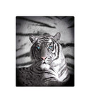Just Home Blue Eyes Stripes Tiger Polar Fleece Throw Rug - NuSea